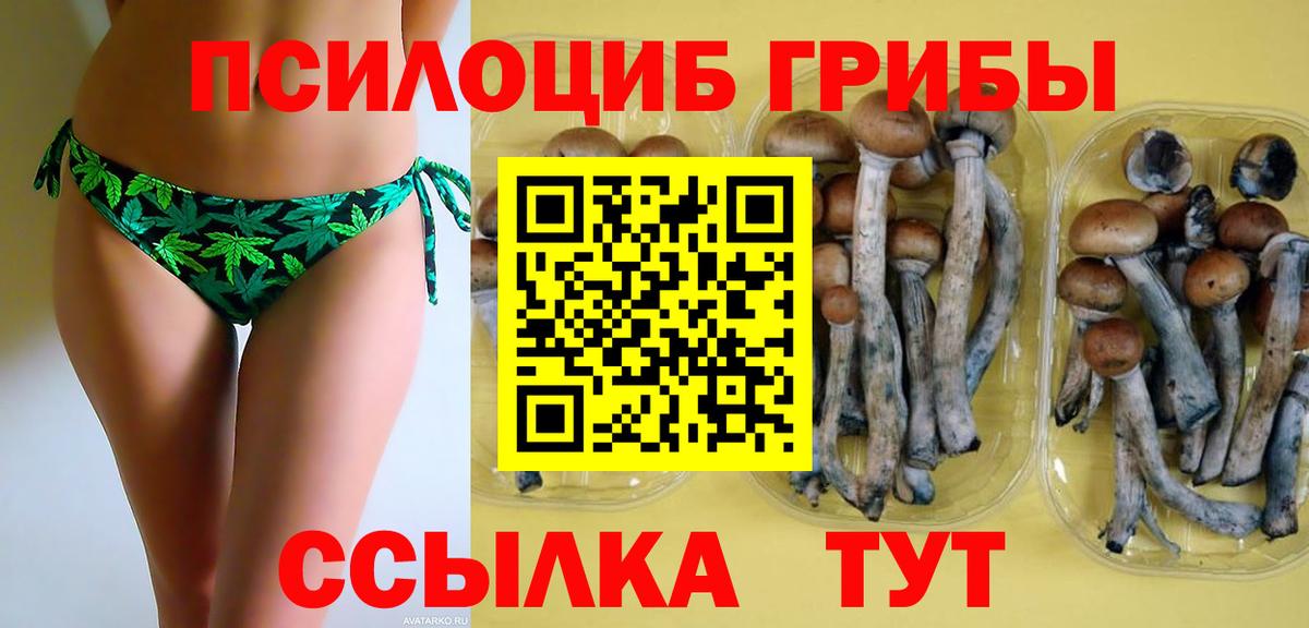 Галлюциногенные грибы Magic Shrooms  Галлюциногенные грибы Psilocybine cubensis  Вход с VPN  Лабинск 